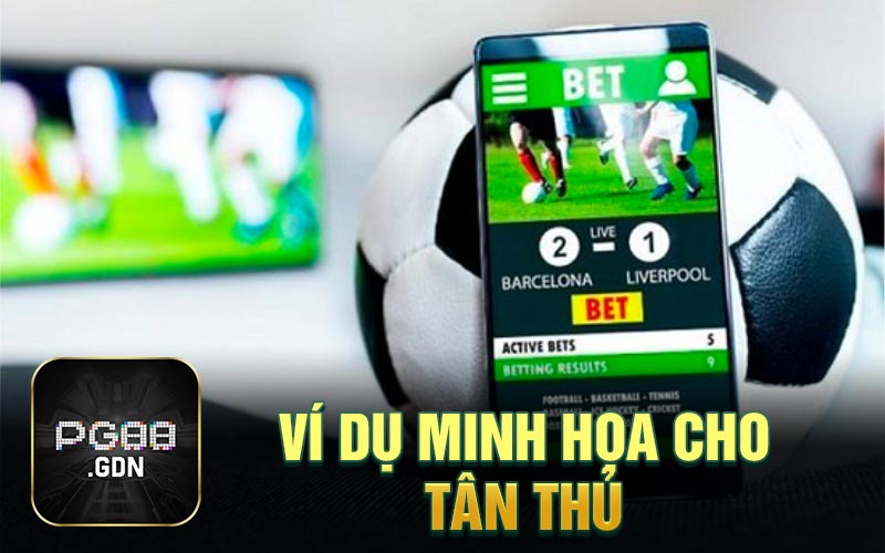 Ví dụ minh họa cho tân thủ